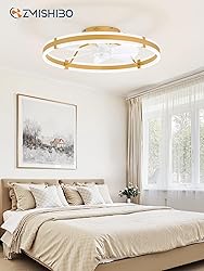 ZMISHIBO 24 Inch Ceiling Fans with Lights and