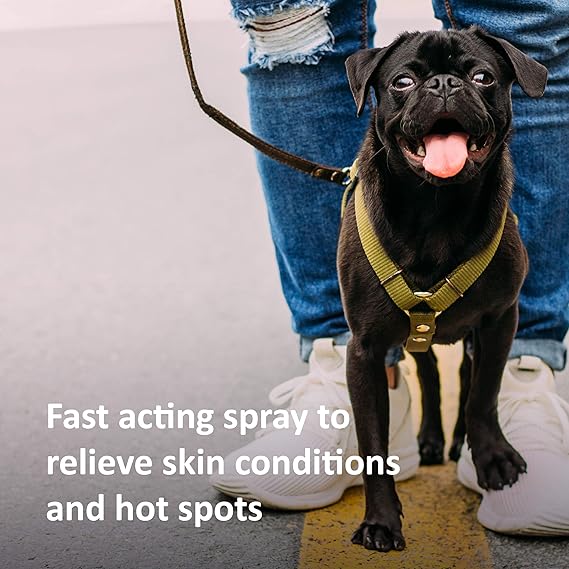 lidocaine for dog hot spots