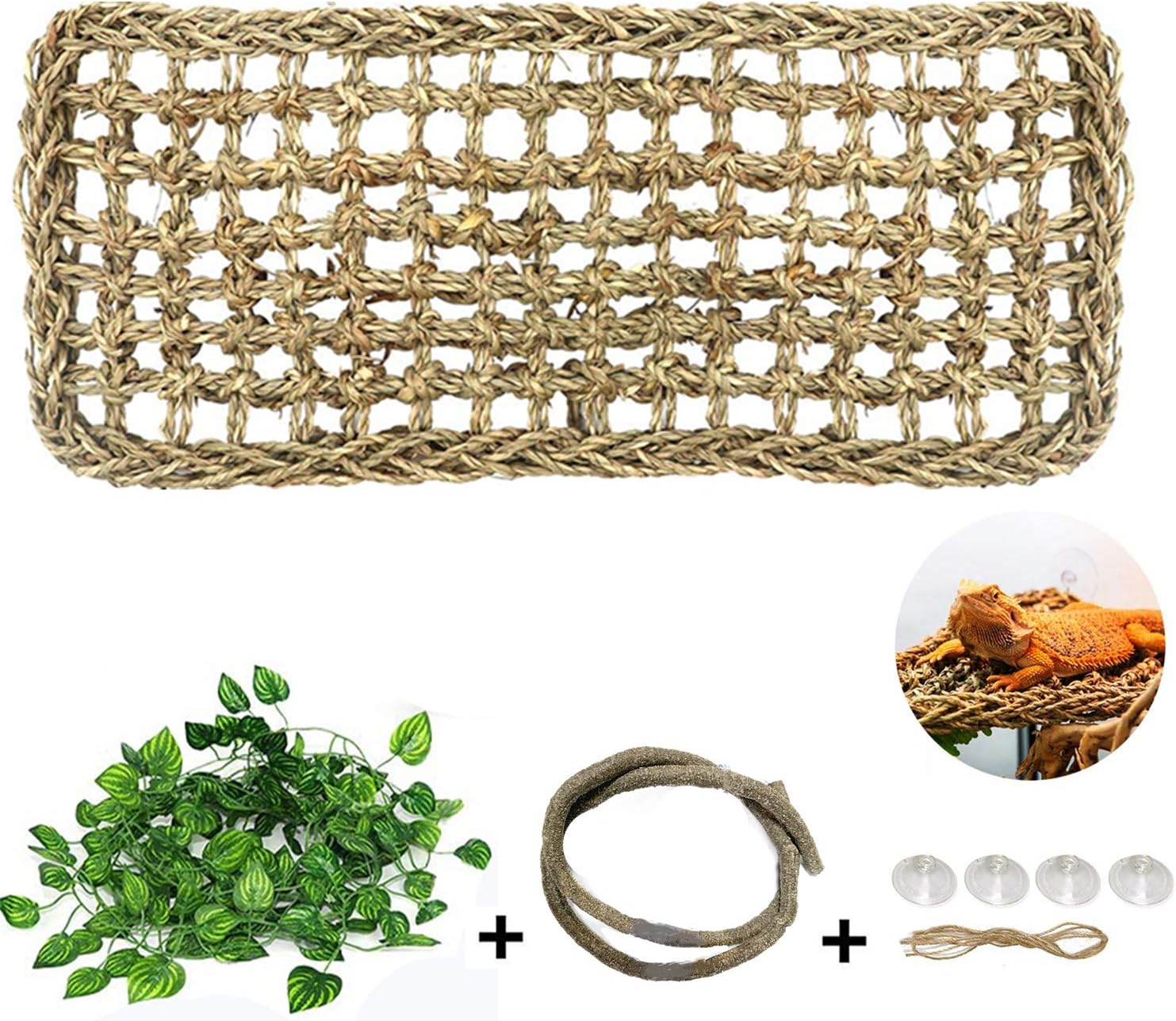 Best reptile hammock bearded dragon