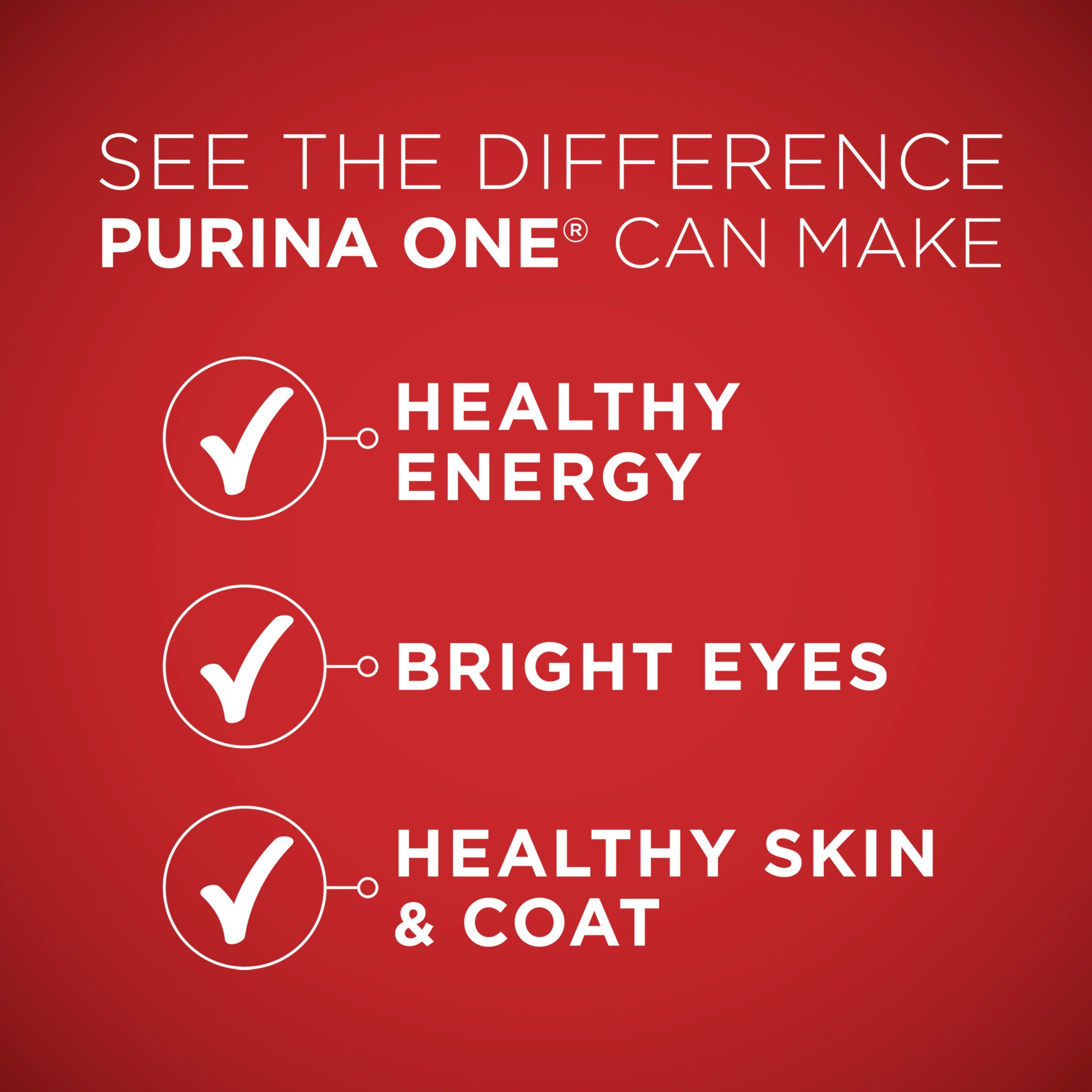 Purina ONE SmartBlend Natural Formula Adult Dry Dog Food - Image 9