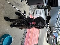 Review Image by Celrod2