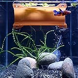 SeeShelter Brand Betta Tunnel
