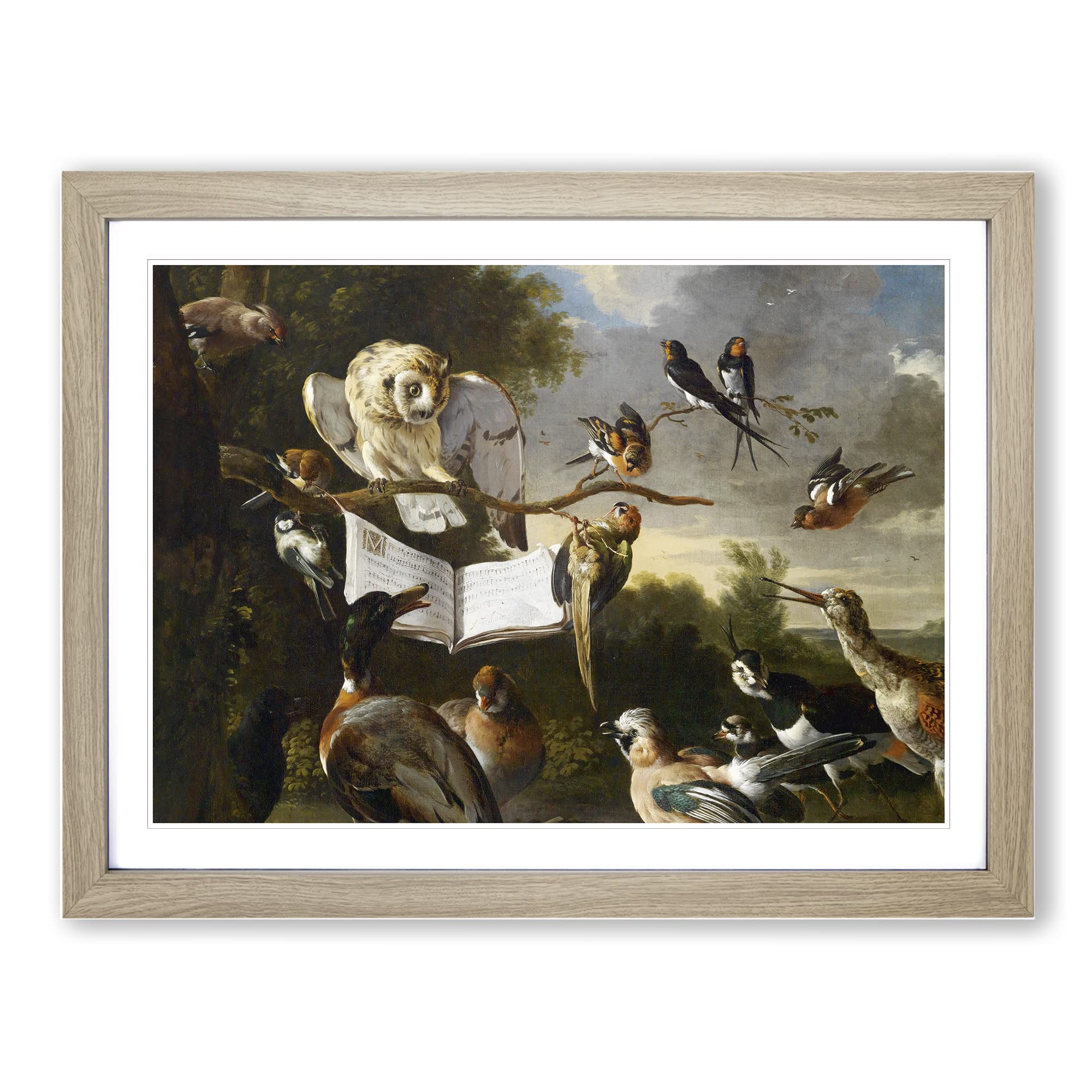 Owl Surrounded By Birds By Melchior D'hondecoeter Classic Painting Framed Wall Art Print, Ready to Hang Picture for Living Room Bedroom Home Office Décor, Oak A4 (34 x 25 cm)