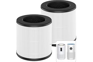 B-D02U/B-D02L/D10 Replacement Filter, Compatible with VEWIOR B-D02U, MOOKA B-D02L & M05, for Tailulu D10 Air Purifier, 3-in-1