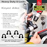 Burg-Wächter 100D Quadra Sold Secure Gold Keyed Alike U Lock Quad Pack Black view 4