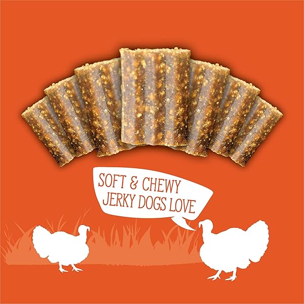 EVOLVE GRAIN FREE TURKEY, PEA, AND BERRY JERKY BITES DOG TREATS