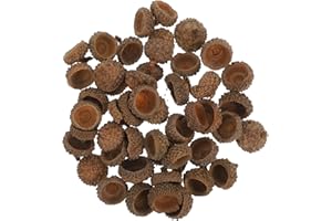 Natural Acorn Caps Bulk, 200Pcs Rustic Craft Supplies for Christmas Wreath Ornaments