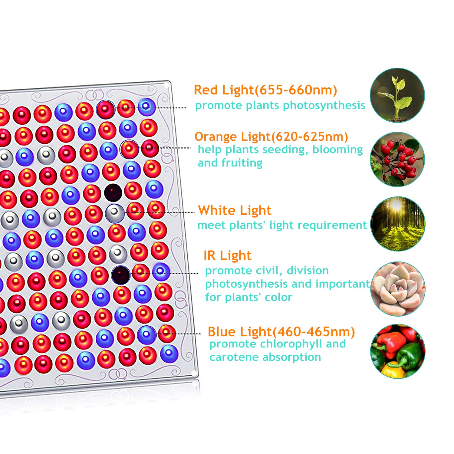 Relassy Lampada LED Per Piante Con Timer - Grow Light Spettro Completo 144 LED Per Coltivazione Indoor - Foto 3