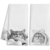BAYOGITA Funny Cat Decor Bathroom Hand Towels, Cat Lover Mom Lady Gifts, Cute Cats Kitty Bathrobe and Toilet Paper Decorative Hand Towels for Kids Bathroom Washroom Restroom, 16x24 Inch Set of 2
