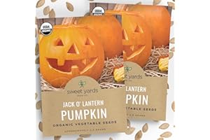 Organic ‘Jack O’ Lantern’ Pumpkin Seeds – Two Seed Packets! – Approx. 60 Open Pollinated Non-GMO Halloween Pumpkin Seeds – Sweet Yards Seed Co.
