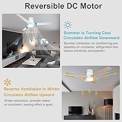 Flybull 52’’ Ceiling Fans with Lights Remote