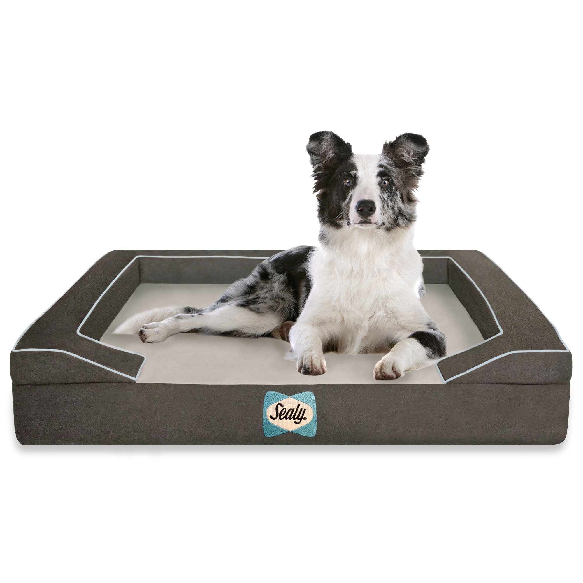 Sealy Dog Bed with Quad Layer Technology, Medium, Modern Gray eBay