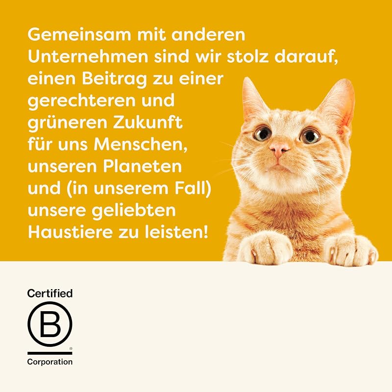 Trockenfutter für ausgewachsene Katzen 2 kg – Huhn mit Lamm Kroketten 1 x 2 kg, getreidefrei, proteinreich, 100% natürliche Zutaten