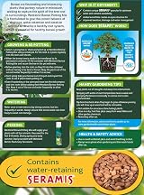 Westland Potting Compost Mix with Seramis 4 L Brown view 2