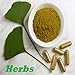 Herbs