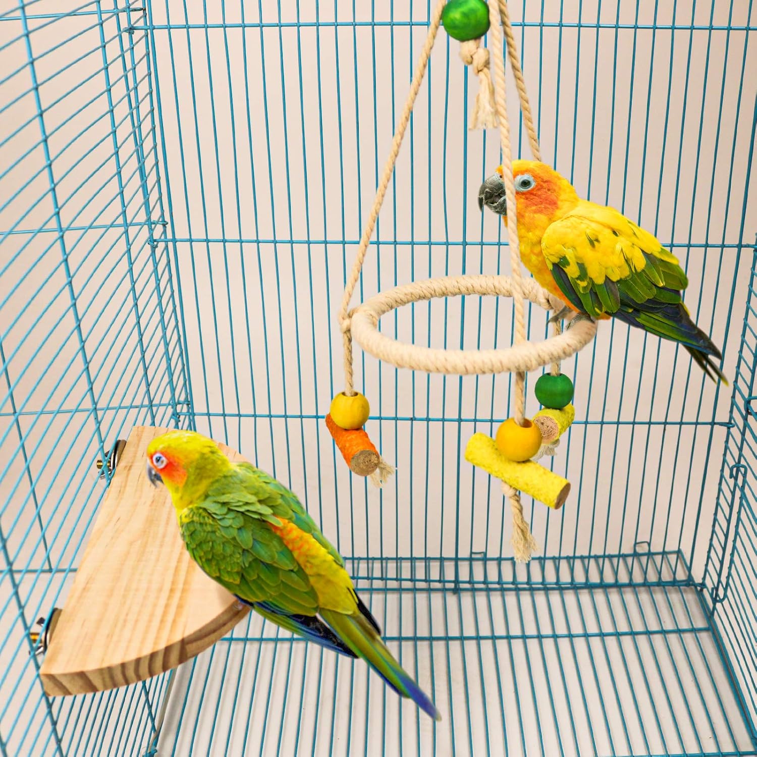 Bird Perch Stand Parrot Rope Swing Hanging Toy, Circle Ring Parakeet Perch Swing Toys&Bird Platform Parrot Stand Playground for Budgie Conure Finches Lovebird Cockatiel Cockatoo Exercise Toys (H01) : Pet Supplies