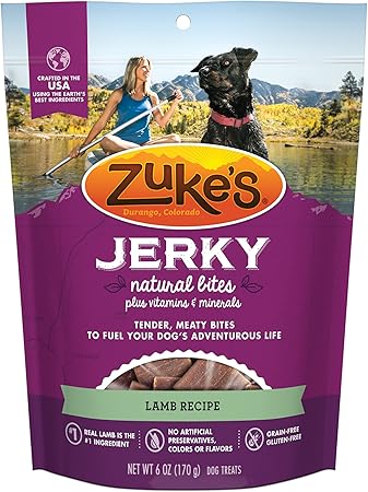 raising a basset hound