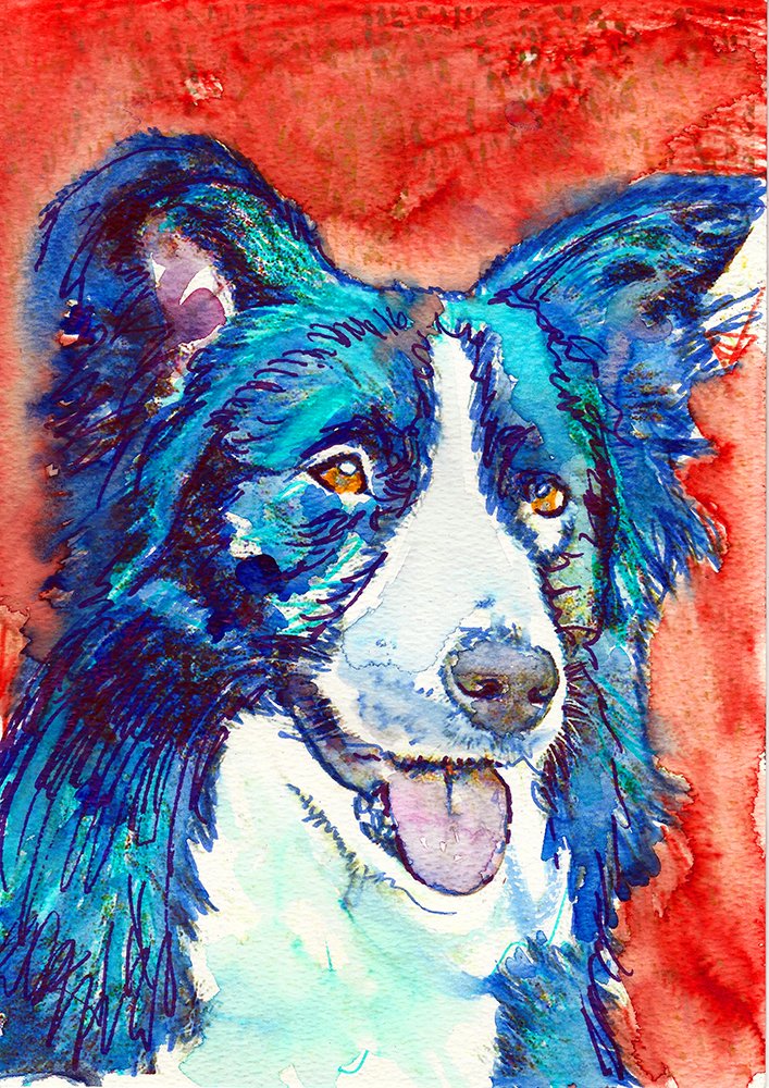 collie dog paintings