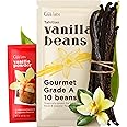 Gya Labs 10 Tahitian Vanilla Beans for Making Vanilla Extract, Baking - Grade A - 5-7 Inches (12 to 15 CM) long, Caviar Rich, Flavorful Fresh Pods