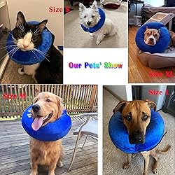 Katoggy Inflatable Dog Cone Collar for After