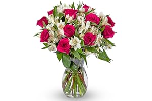 Benchmark Bouquets Signature Roses and Alstroemeria, with Vase