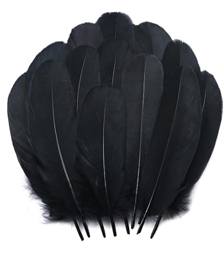 Amazon.com: Ballinger Brown Craft Feathers Bulk - 120Pcs 6-8inch
