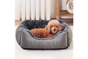 INVENHO Small Dog Bed for Small Medium Large Dogs, Rectangle Washable Dog Bed, Orthopedic Dog Sofa Bed, Durable Plush Pet Bed, Soft Calming Sleeping Puppy Bed with Anti-Slip Bottom S(20"x19"x6")