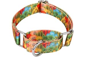 Mikivery Martingale Collar for Dogs 1 inch Sturdy Durable Collars Medium and Large Breed for Walking Training Outdoor Daily Use