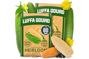 HOME GROWN Luffa Seeds 2 Pack(Luffa aegyptiaca) 80 Heirloom Non GMO Loofah Gourd Seeds for Planting High Germination Rate - Make Sponges or Harvest Young Loofahs for Eating