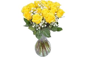 18 Yellow Roses + Baby's Breath in glass Vase | Arabella Bouquets | Real Fresh Flowers for Delivery, Gift for Birthday, Congratulations, Anniversary