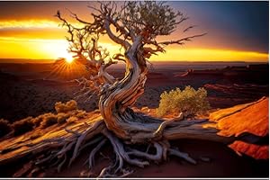 RIIVVDISE Desert Reptile Habitat Background Dead Tree Sunset Desert Terrarium Background Spectacular Sunset Desert Dead Tree Terrarium Backdrop Tranquil Desert Nature Landscape Aquarium Backdrop 36x18in