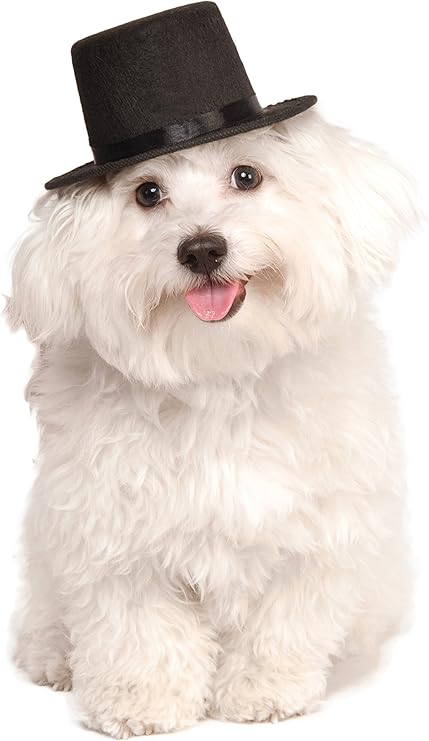 Dog top hat Clearance