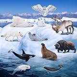 toymany 12PCS Polar Animals Figurines Arctic Toy Set 4-19cm Kids view 4