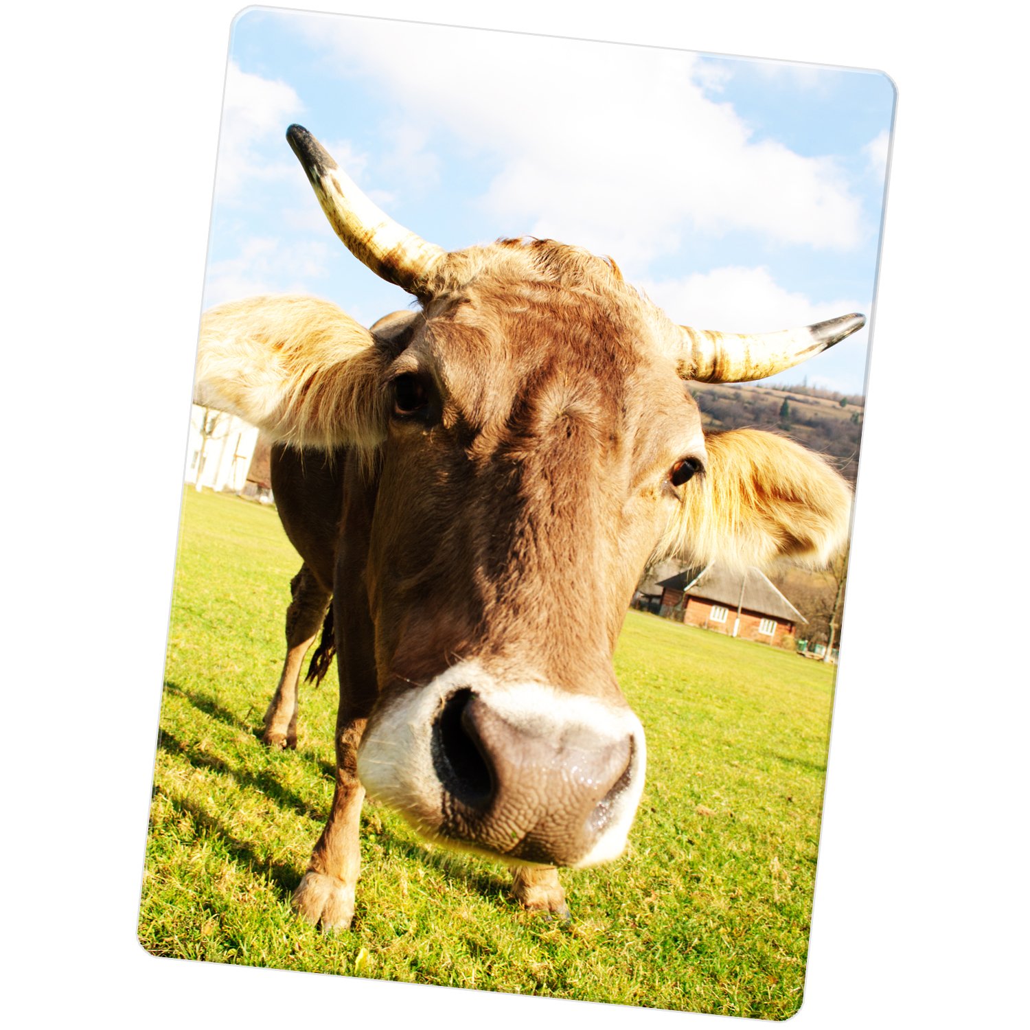 Imán para nevera de vaca, Cow With Horns, Large: Amazon.es: Hogar