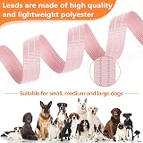 X XBEN Long Line Dog Lead 10M Reflective Recall Training Heavy Duty Hook view 5
