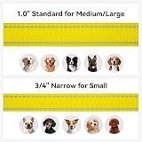 Joytale Double-Sided Reflective Dog Leash 6 5 4 FT Padded Handle Nylon view 6