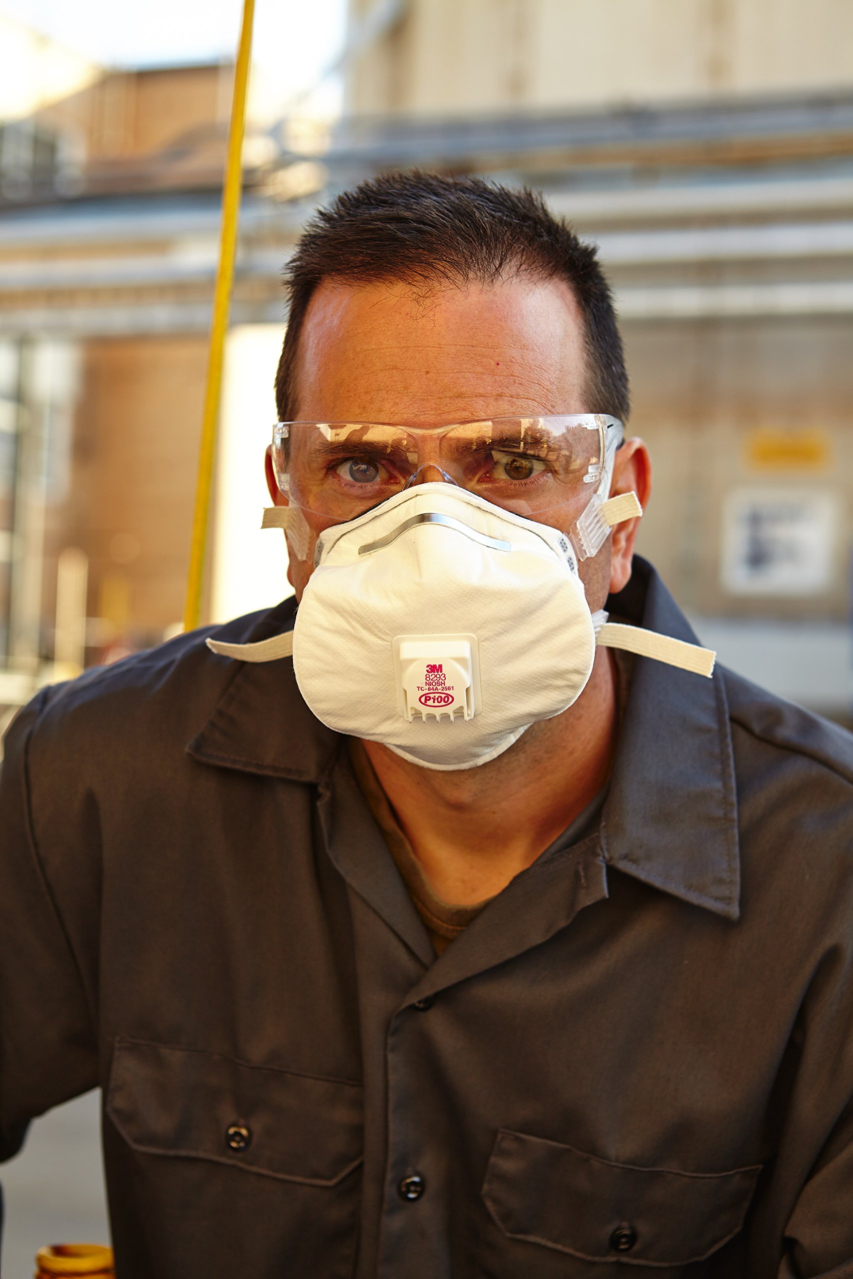 8293 mask