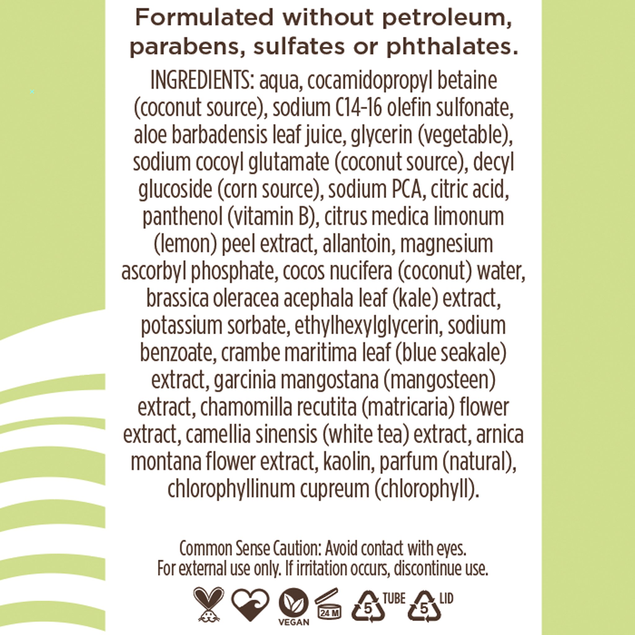 Pacifica Kale Detox Deep Cleansing Face Wash Buy Online in UAE