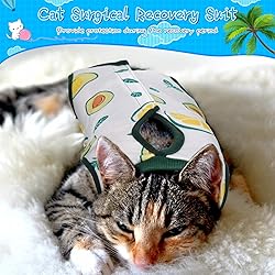 3 Pieces Cat Recovery Suit Kitten Recovery Suit