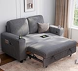 LINSY HOME Loveseat Sofa with Pull Out