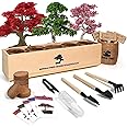 Meekear Bonsai Tree Kit with Complete Growing Starter Kit, Great Potted Growing DIY Gift for Adults