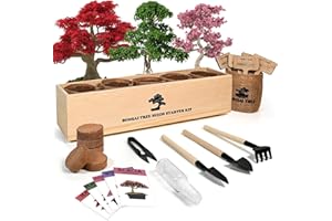 Meekear Bonsai Tree Kit with Complete Growing Starter Kit, Great Potted Growing DIY Gift for Adults