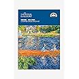DMC Cross Stitch Kit - The Skiff by Renoir