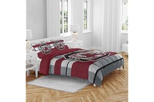 Pegasus Sports NCAA Block Logo 3 Piece Queen Bed in a Bag