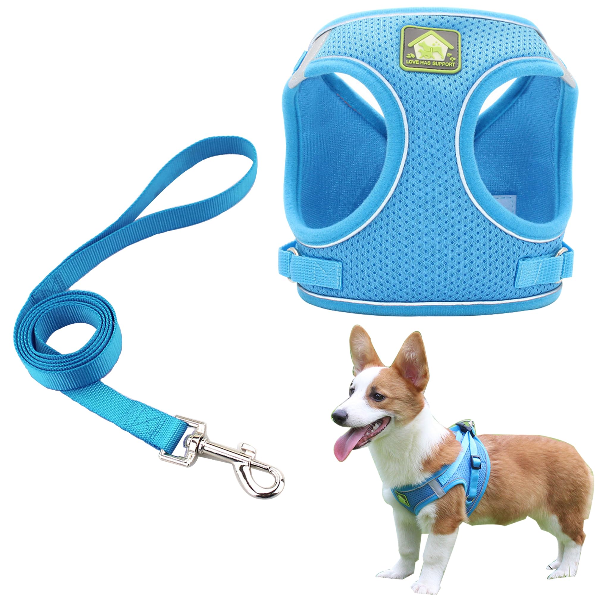 Photo 1 of Soft Small Dog Harness and Leash Set Step in Air Mesh Puppy Harness Leash Reflective Adjustable Puppy Vest for Small Dogs Cats. (Blue, M)