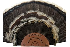 DonLaz Premium Shot Shell (1) Large Sized Trophy Turkey Fan Mount Beard & Spurs Copper for a Real Shot Shell Look, by Far The