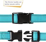 HEELE Reflective Dog Collar 2cm XS Sky Blue Neon Padded Nylon Adjustable view 4