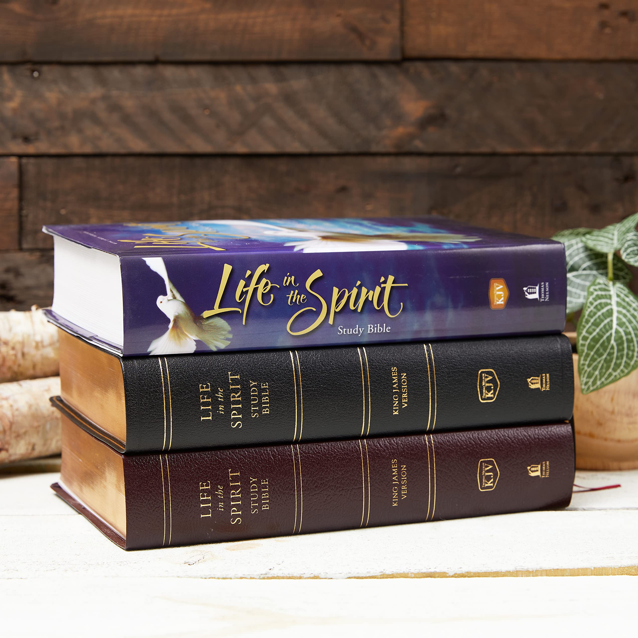 KJV Life in the Spirit Study Bible, Indexed