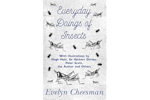 Everyday Doings of Insects - With Illustrations by Hugh Main, Dr Herbert Shirley, Peter Scott, the Author and Others