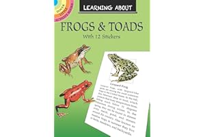 Learning About Frogs and Toads